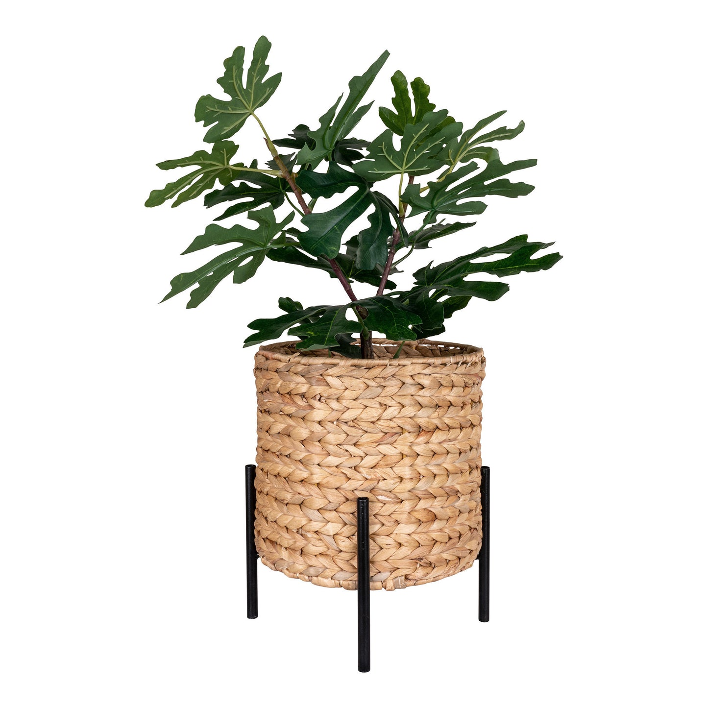 House Nordic Pot Accepted