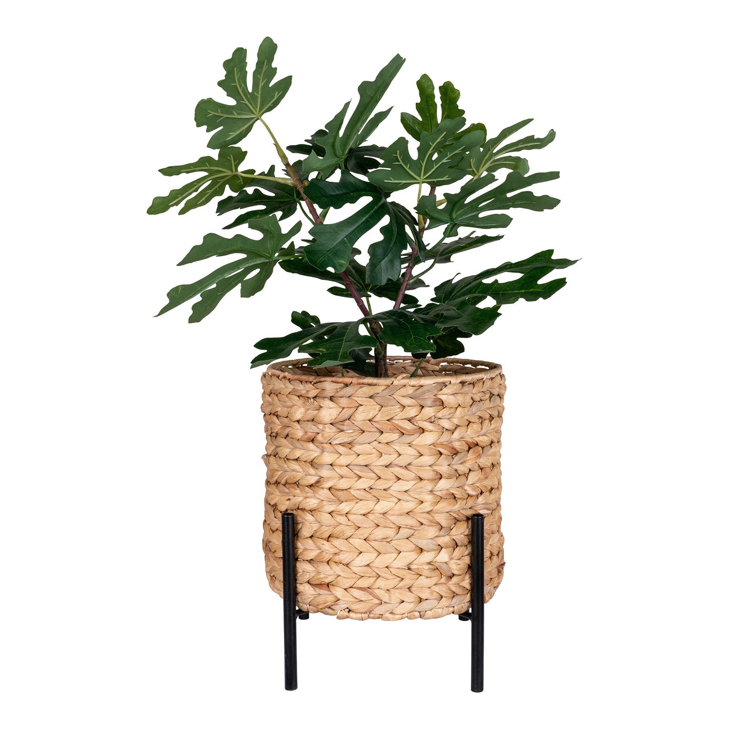 House Nordic Pot Accepted