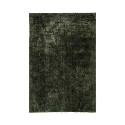 House Nordic Carpet Miami
